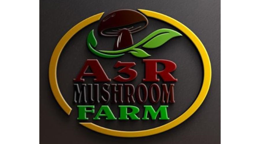 Logo 3